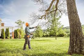 Best Firewood Processing and Delivery  in Galena Park, TX