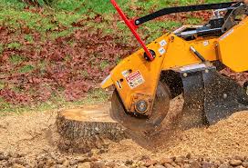 Best Lawn Mowing  in Galena Park, TX
